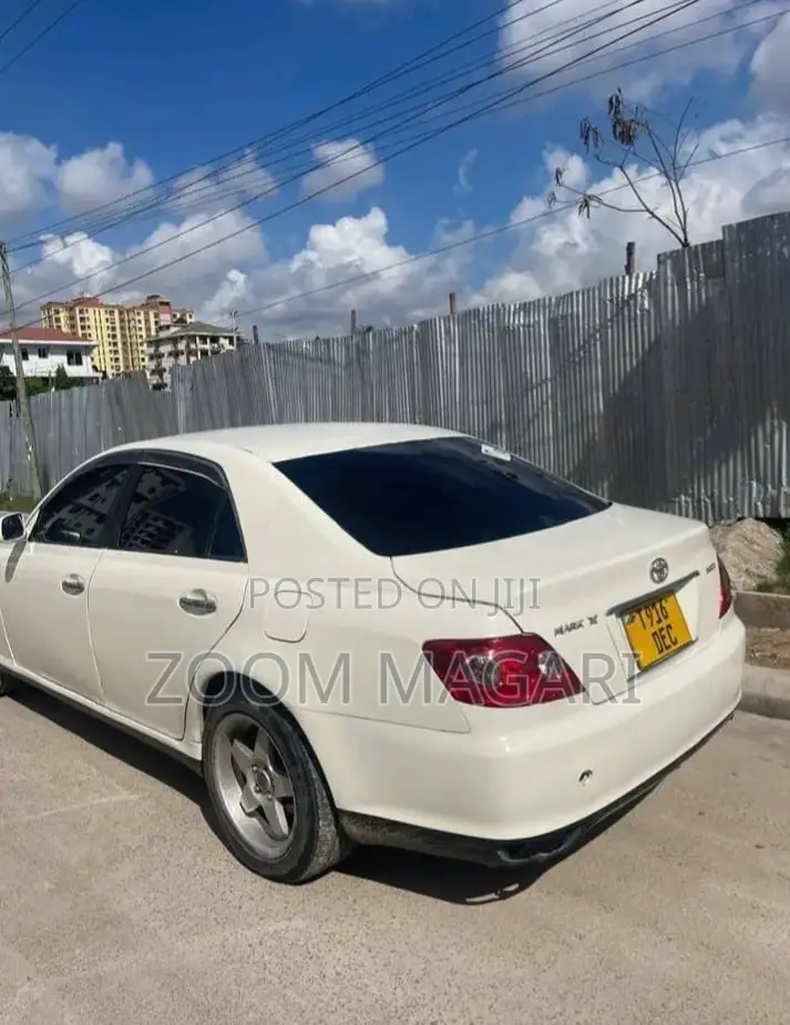 Toyota Mark X 2007 Pearl