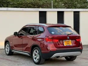 BMW X1 2011 Maroon
