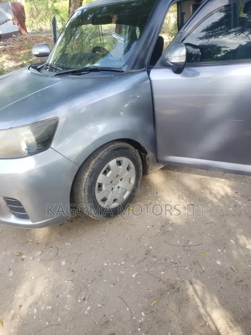 Toyota Corolla Rumion 2009 Gray
