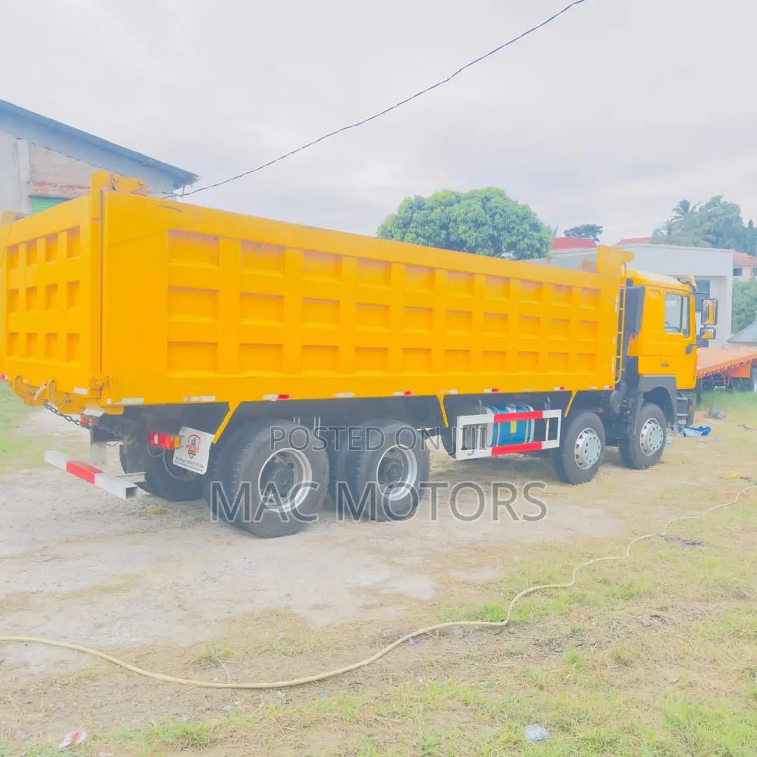 Shacman Man Tipper (Mende)