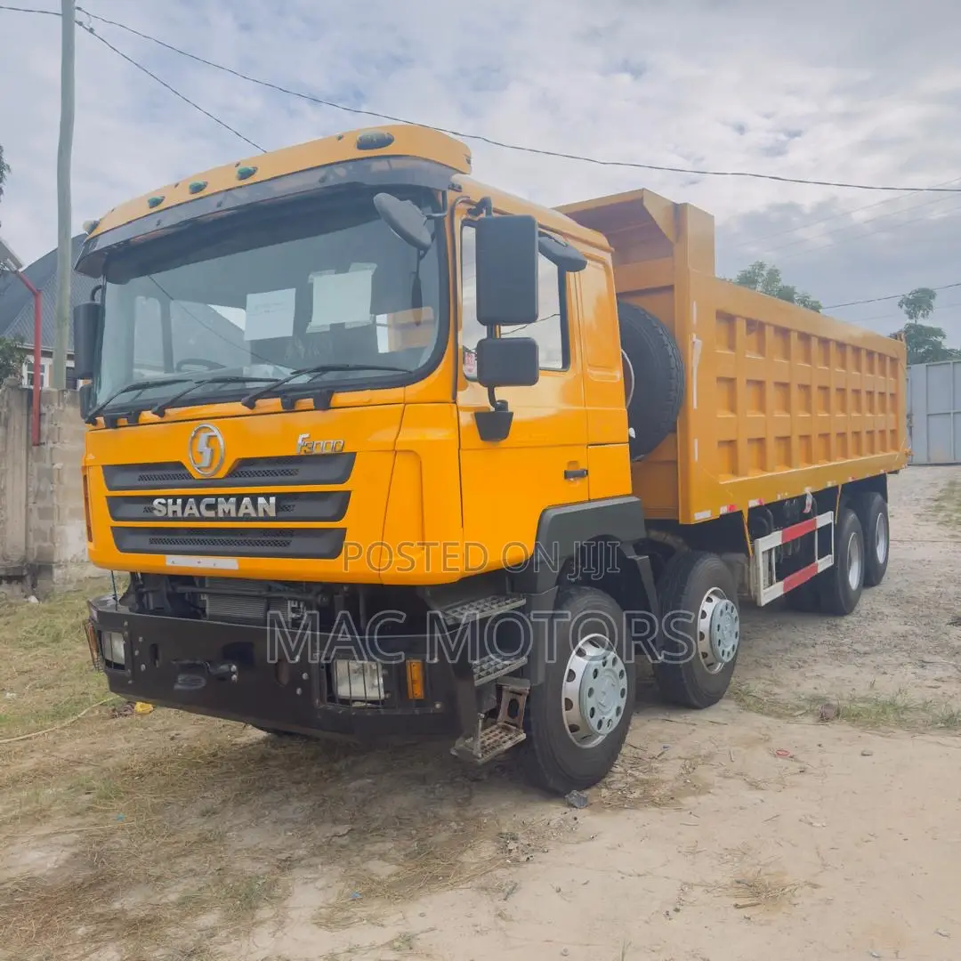 Shacman Man Tipper (Mende)