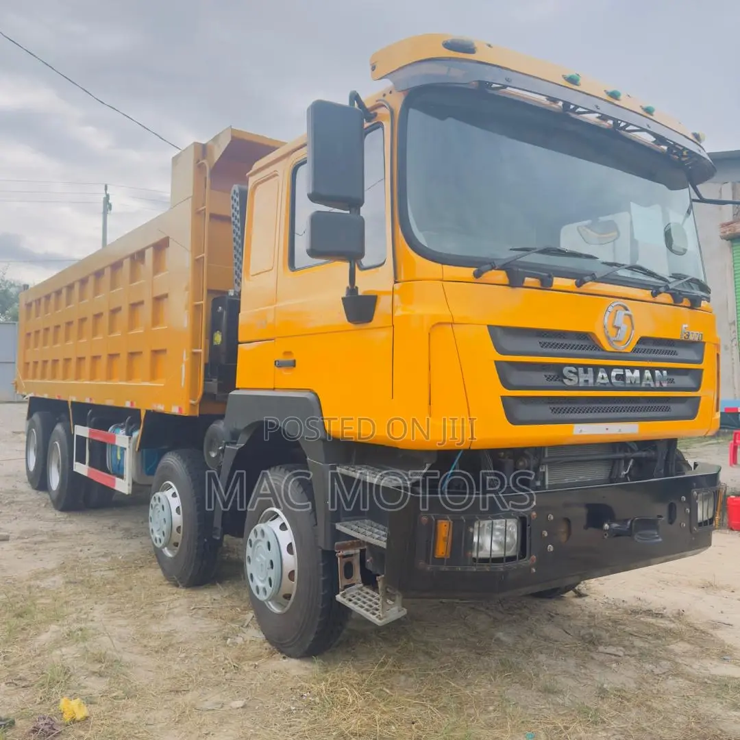 Shacman Man Tipper (Mende)
