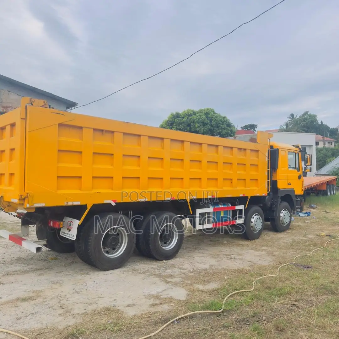 Shacman Man Tipper (Mende)