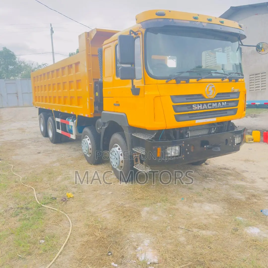 Shacman Man Tipper (Mende)