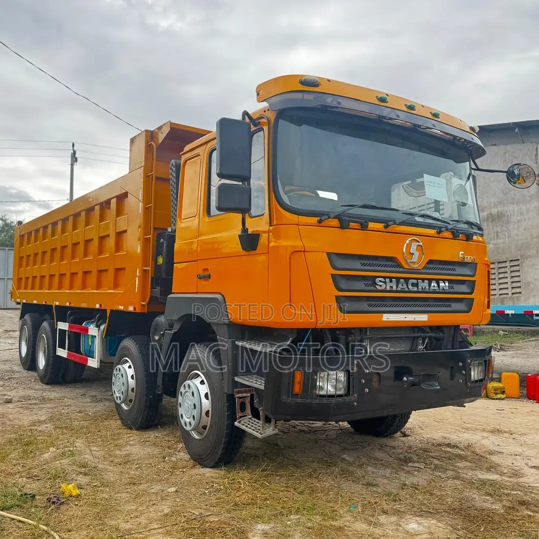 Shacman Man Tipper (Mende)