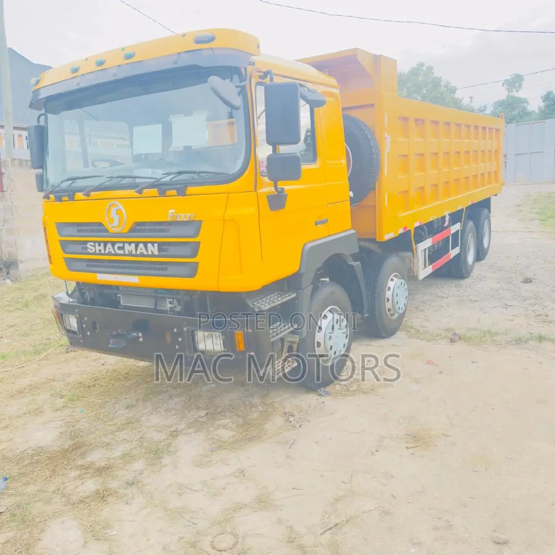 Shacman Man Tipper (Mende)
