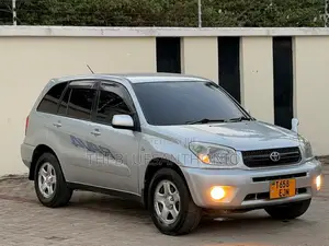 Toyota RAV4 2005 Silver