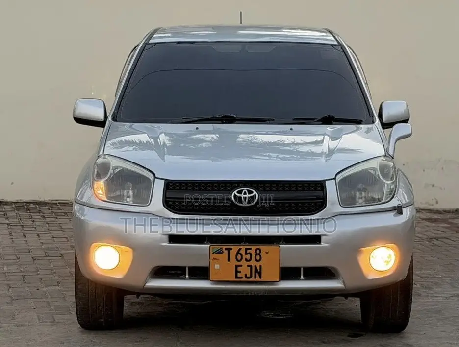 Toyota RAV4 2005 Silver