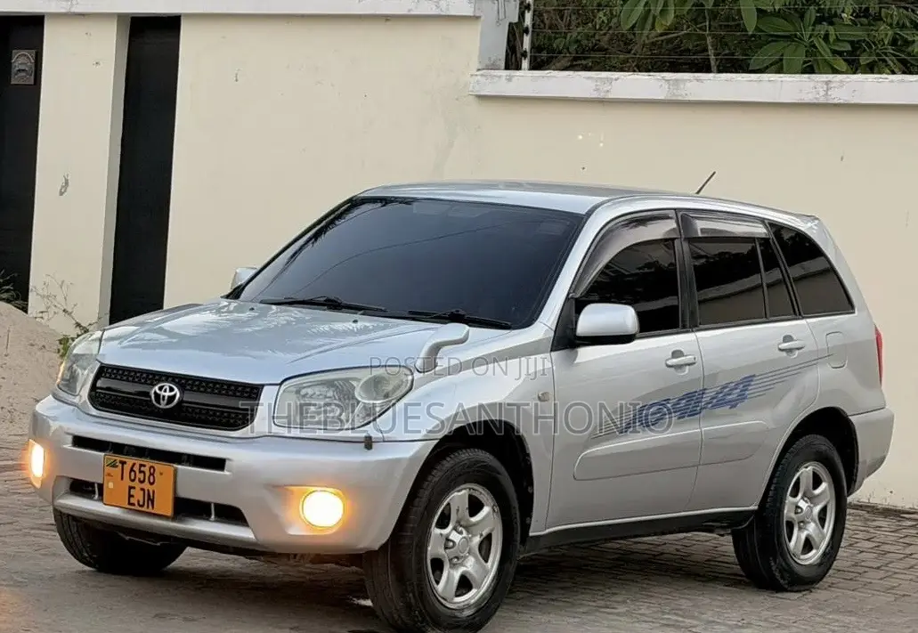 Toyota RAV4 2005 Silver