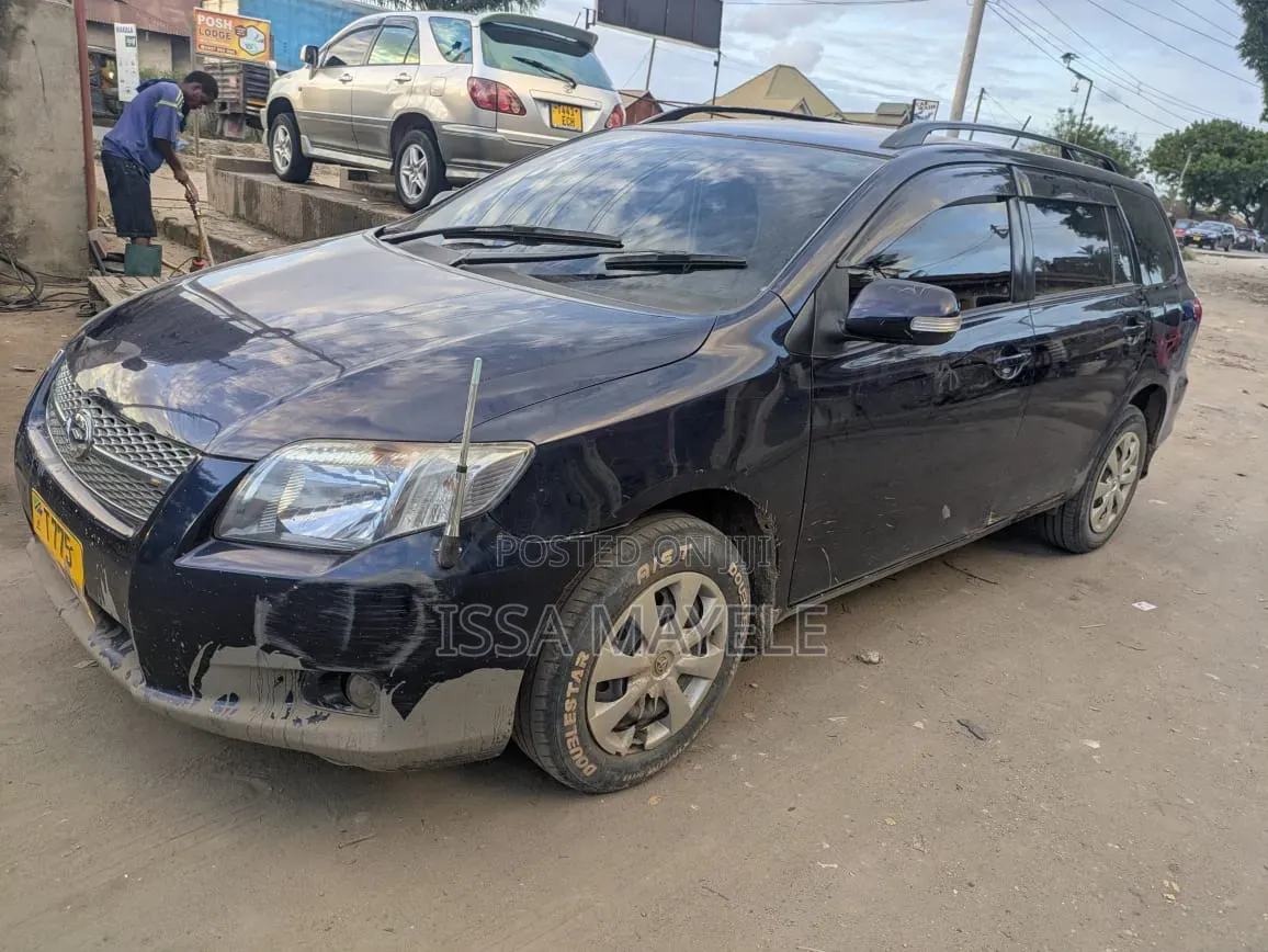 Toyota Corolla Fielder 2008 Blue