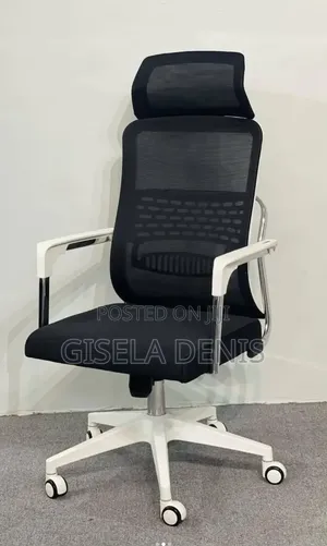 Ergonomic High Back Mesh Chair With Black and White Color
