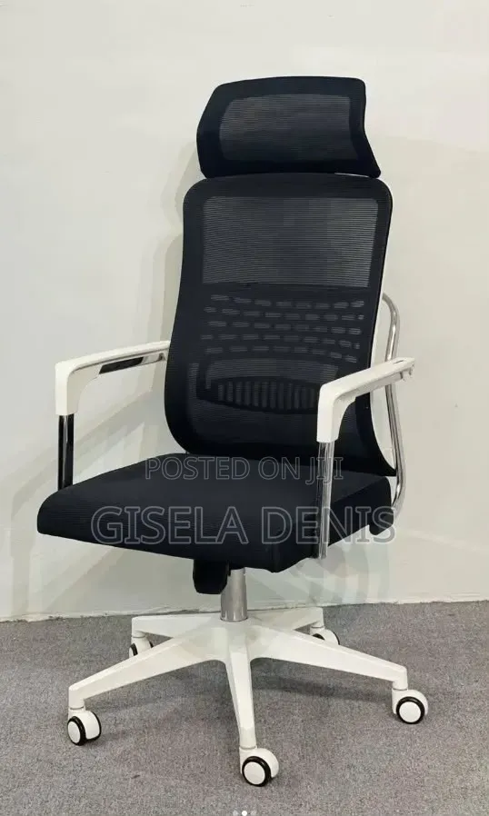 Ergonomic High Back Mesh Chair With Black and White Color