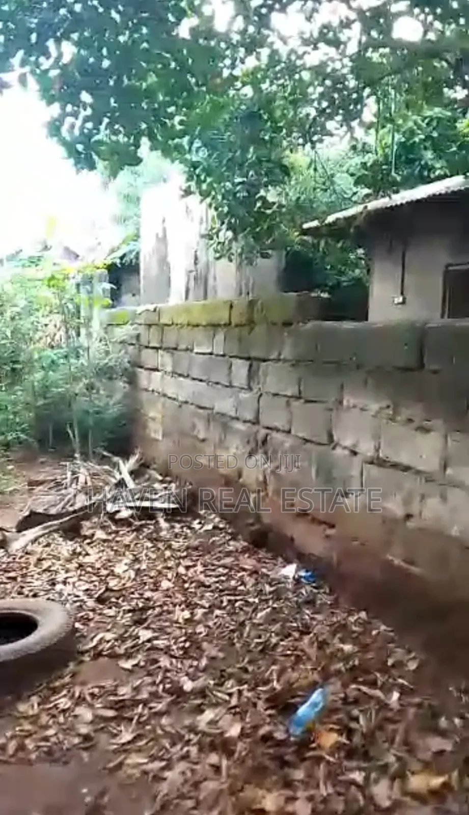 Eneo Linauzwa Kiembe Samaki Zanzibar