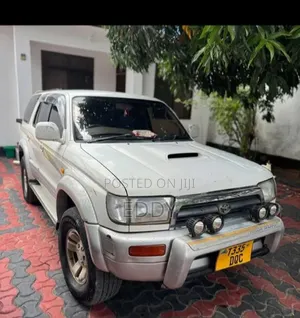 Toyota Hilux Surf 2004 Gray