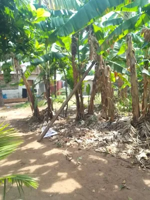 Plot for Sale at Chukwani Zanzibar