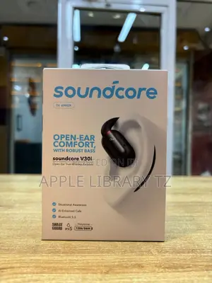 Soundcore V30i