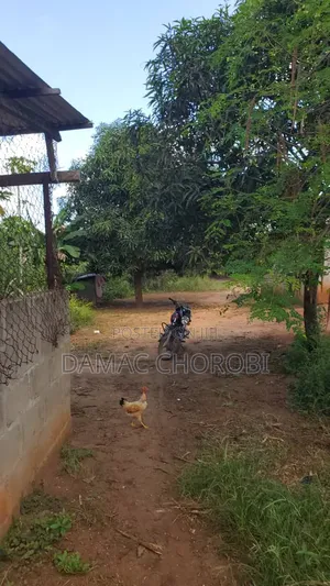 Plot for Sale Luguruni QMT 136