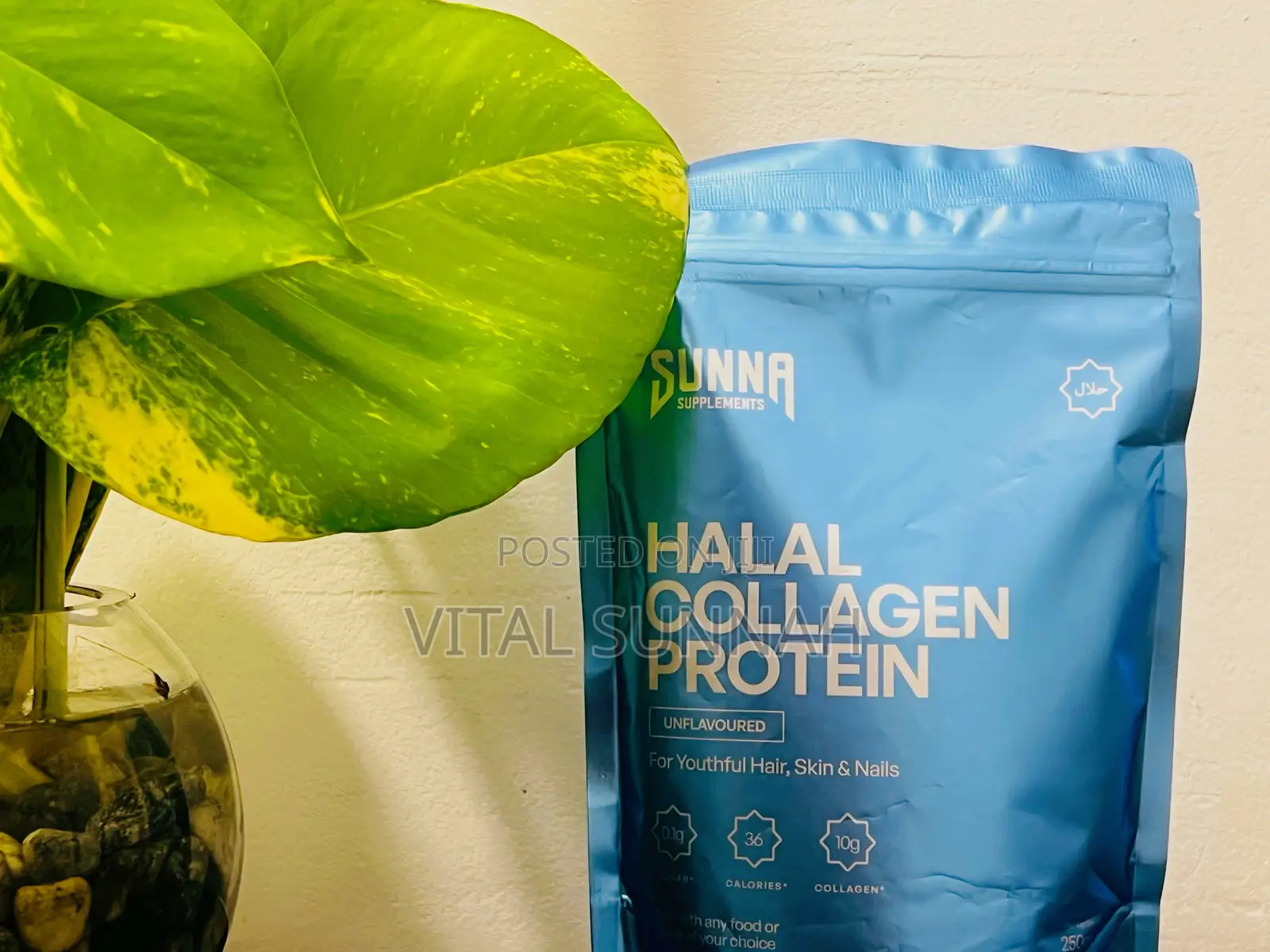 Halal Collagen Protein From Sunnahsupplements