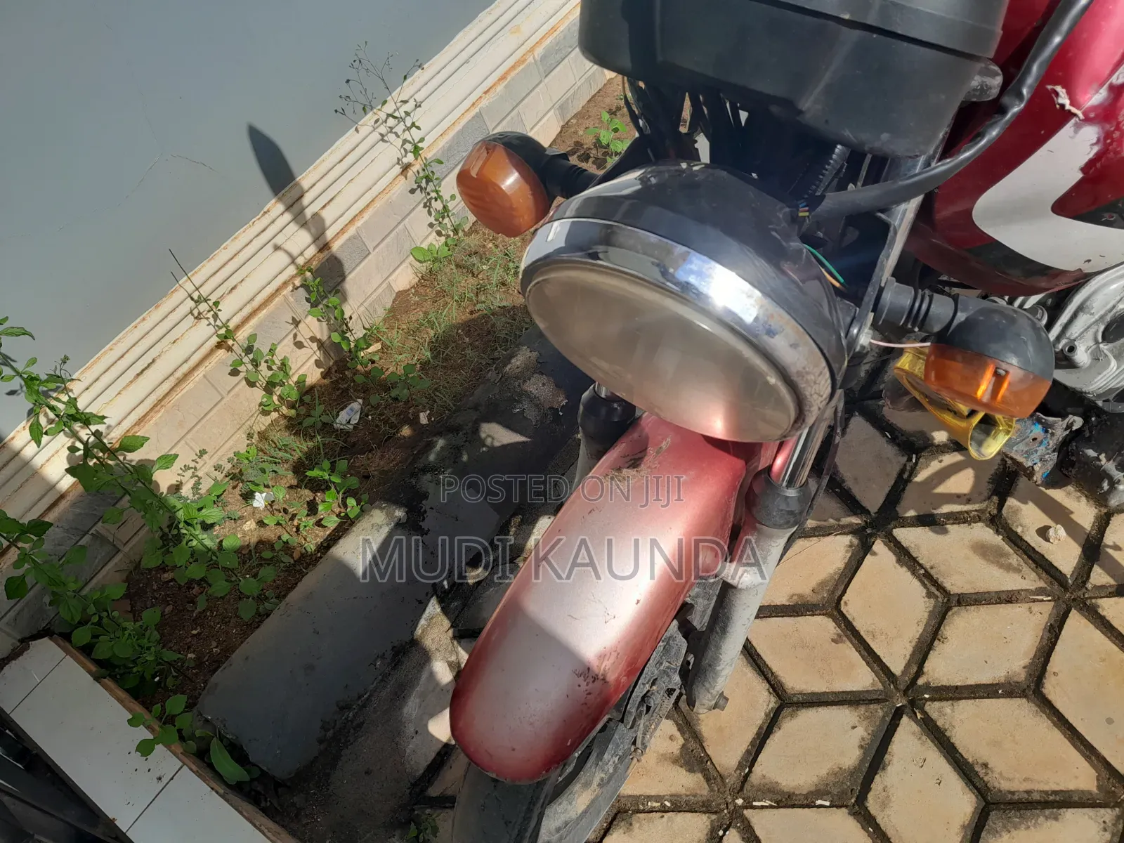 TVS HLX 125 2016 Red