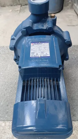Pedrollo Surface Pump 10hp (2inch)