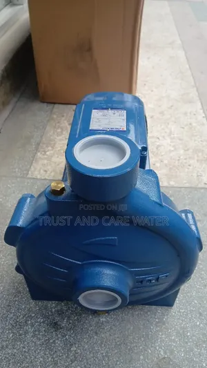 Pedrollo Surface Pump 10hp (2inch)