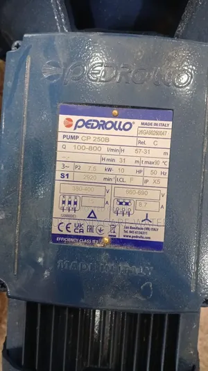 Pedrollo Surface Pump 10hp (2inch)