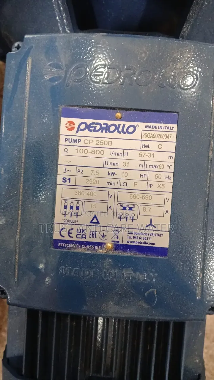Pedrollo Surface Pump 10hp (2inch)