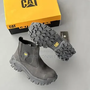 Caterpillar