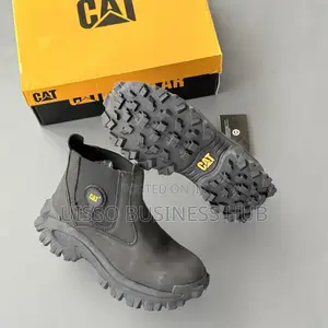 Caterpillar