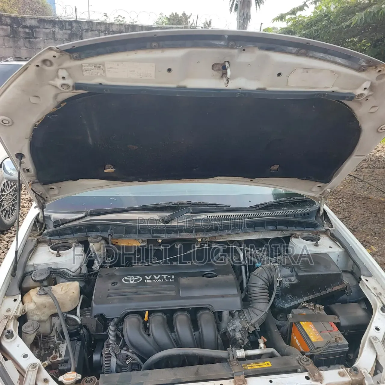 Toyota Premio 2004 White