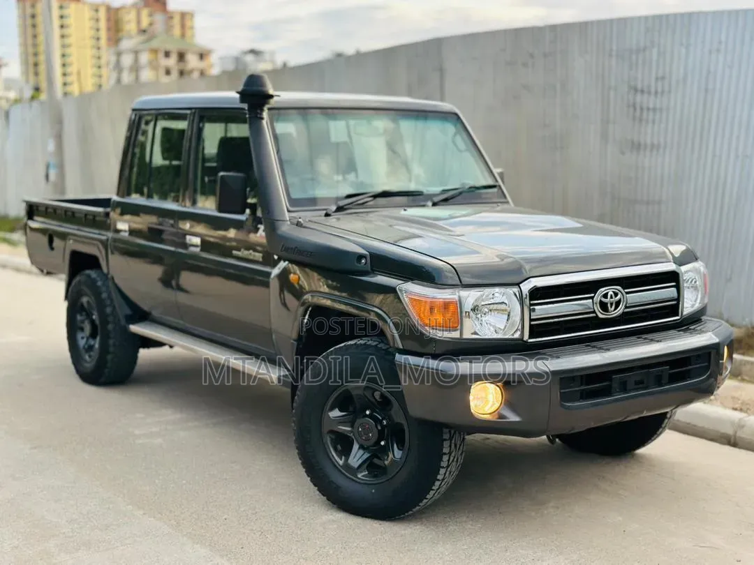 Toyota Land Cruiser 2010 Gray