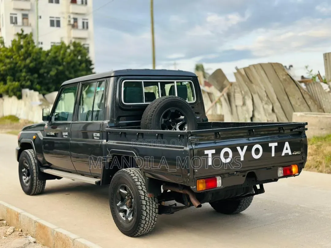 Toyota Land Cruiser 2010 Gray