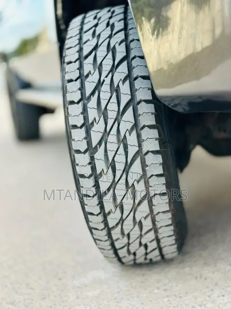 Toyota Land Cruiser 2010 Gray
