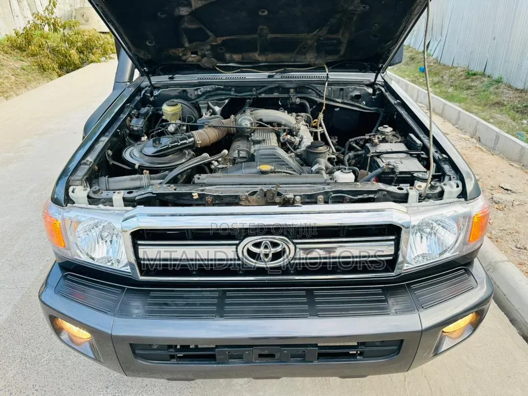 Toyota Land Cruiser 2010 Gray