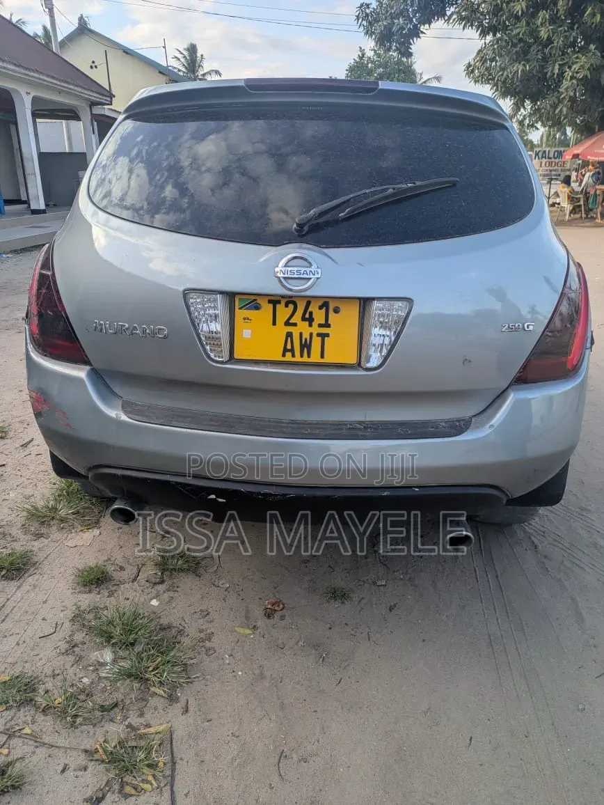 Nissan Murano 2005 Silver