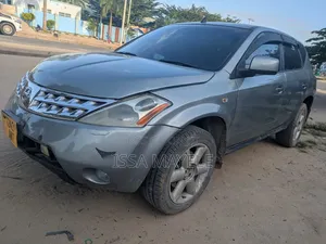 Nissan Murano 2005 Silver