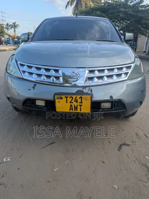 Nissan Murano 2005 Silver