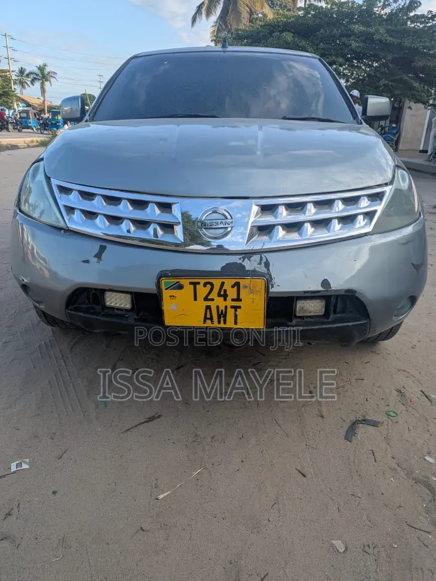 Nissan Murano 2005 Silver