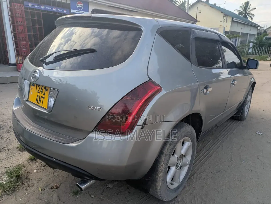 Nissan Murano 2005 Silver