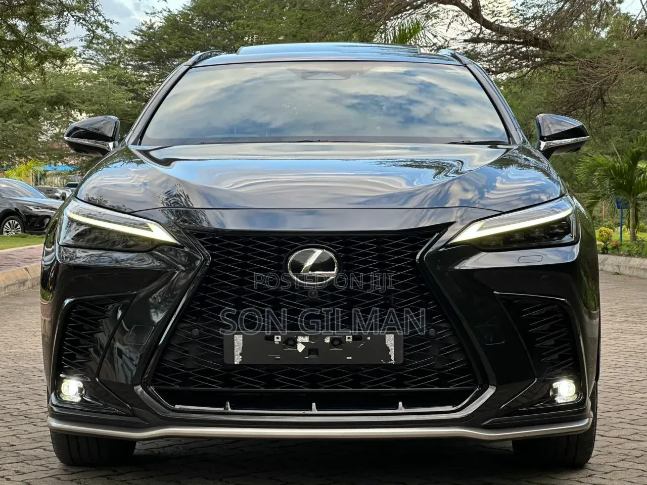 Lexus NX 2022 Black