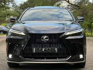 Lexus NX 2022 Black