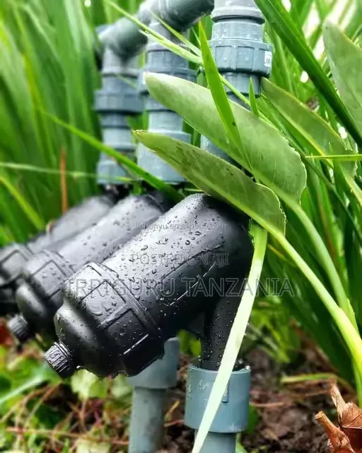 Screen Filters
