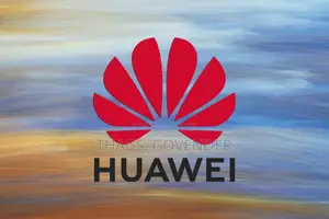 Senior Certified Network Consult in Tanzania From 19/05/26 to 6/07/26