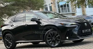 Lexus NX 2022 Black