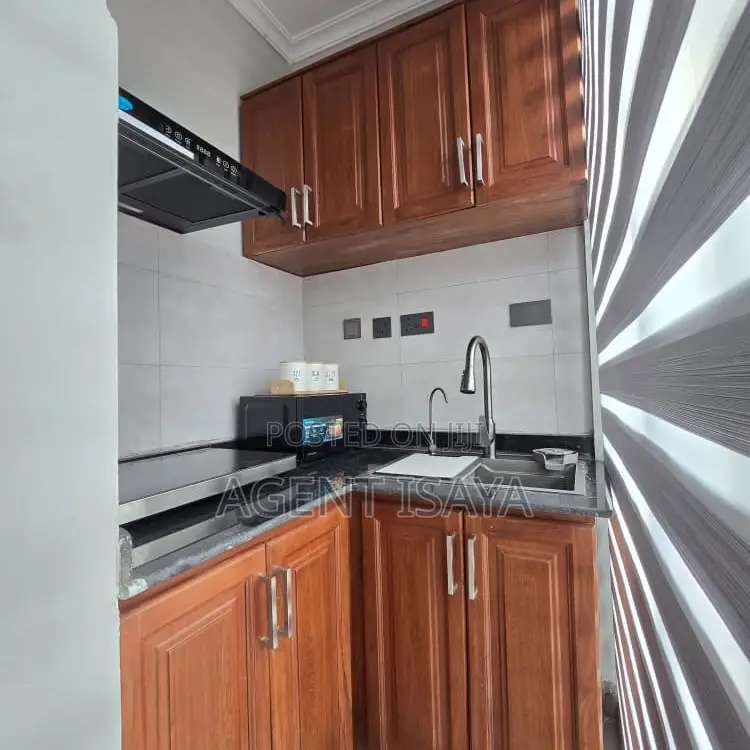 Furnished 1bdrm Apartment in Mikocheni for rent