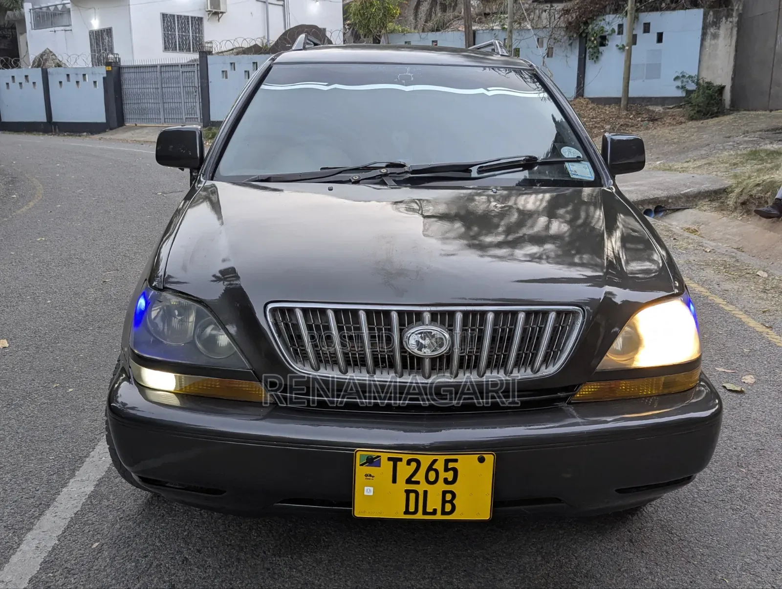 Toyota Harrier 2004 Gray