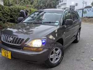 Toyota Harrier 2004 Gray