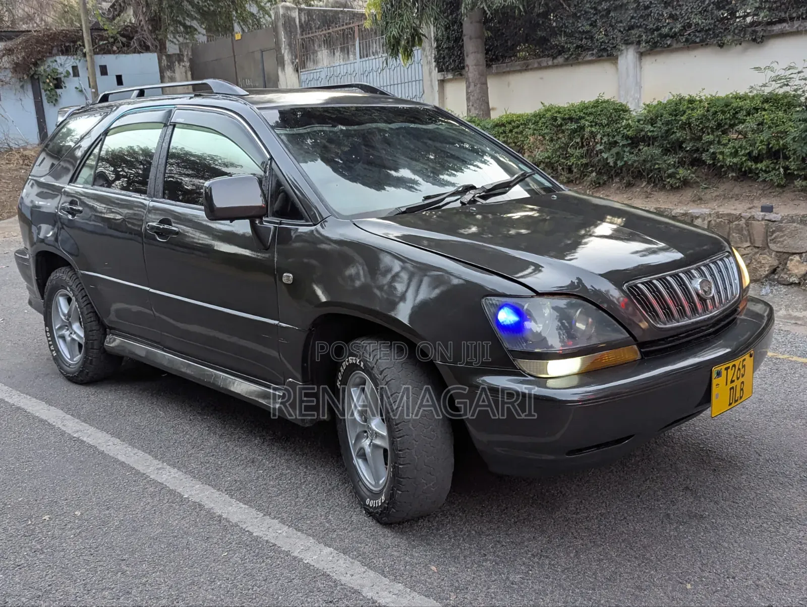 Toyota Harrier 2004 Gray