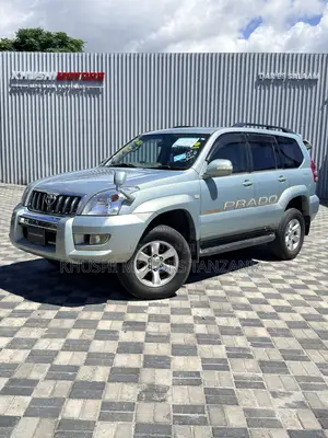 Toyota Land Cruiser Prado 2002 Silver