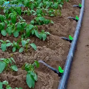 Drip Irrigation System